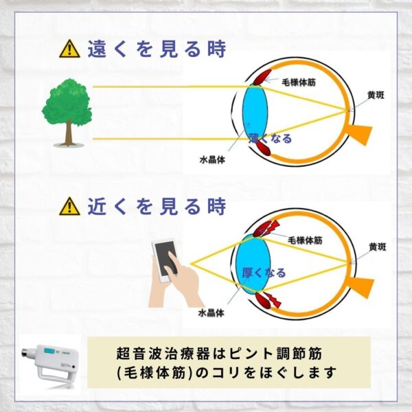 ピント調節の仕組み